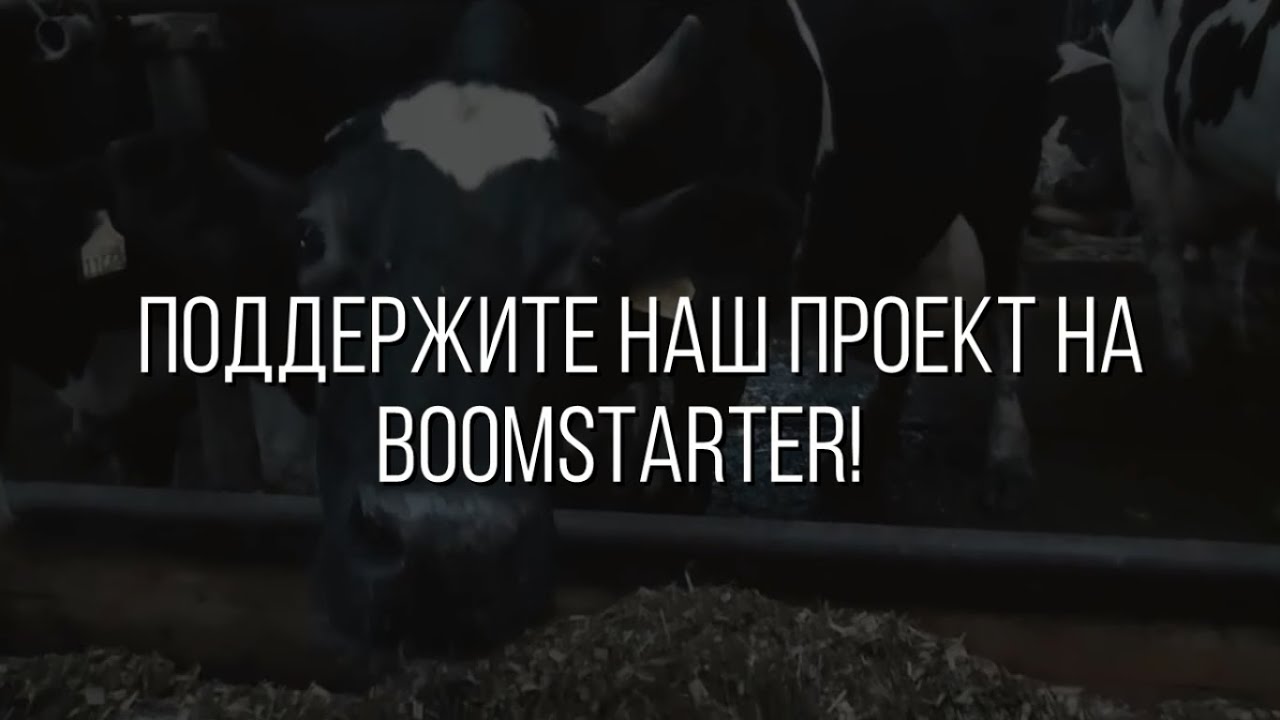 Социальный проект - Возрождаем деревню д. Колпаково | снимать видеоролик