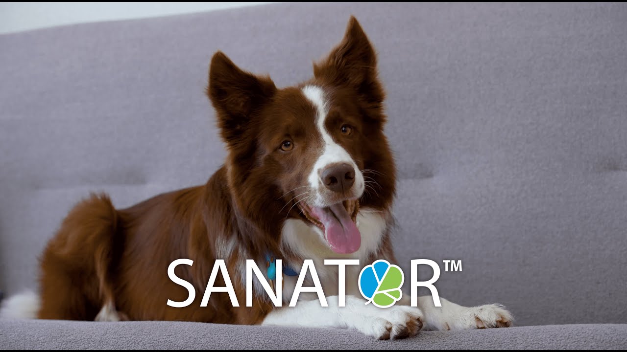 SANATOR обработка поверхностей после животных