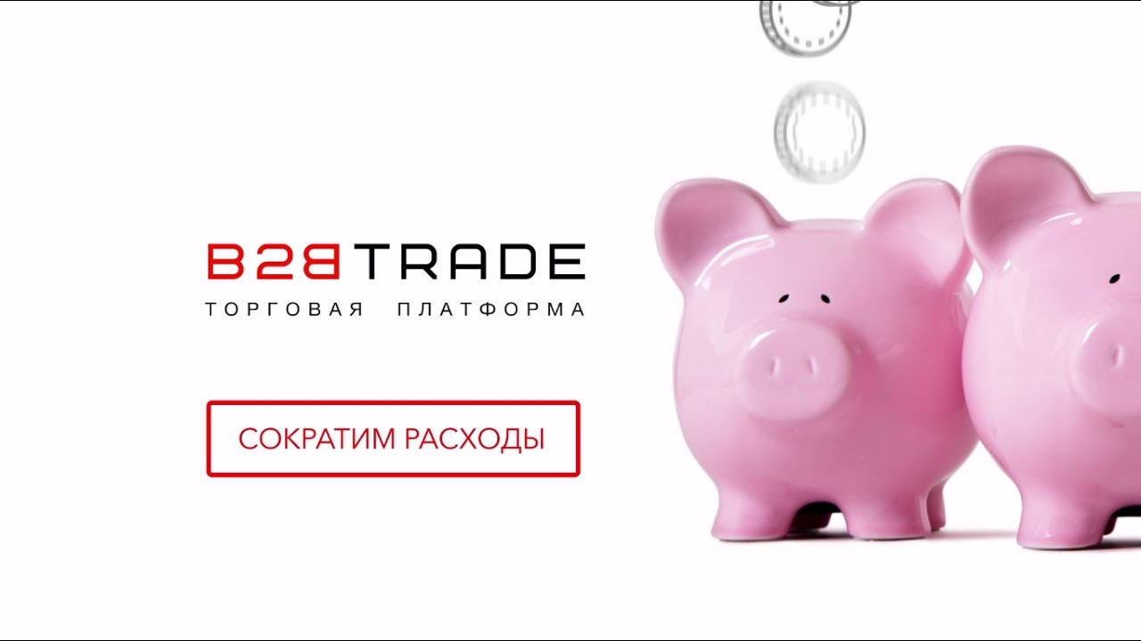 Презентационный ролик в стиле инфографика для торговой платформы B2B Trade