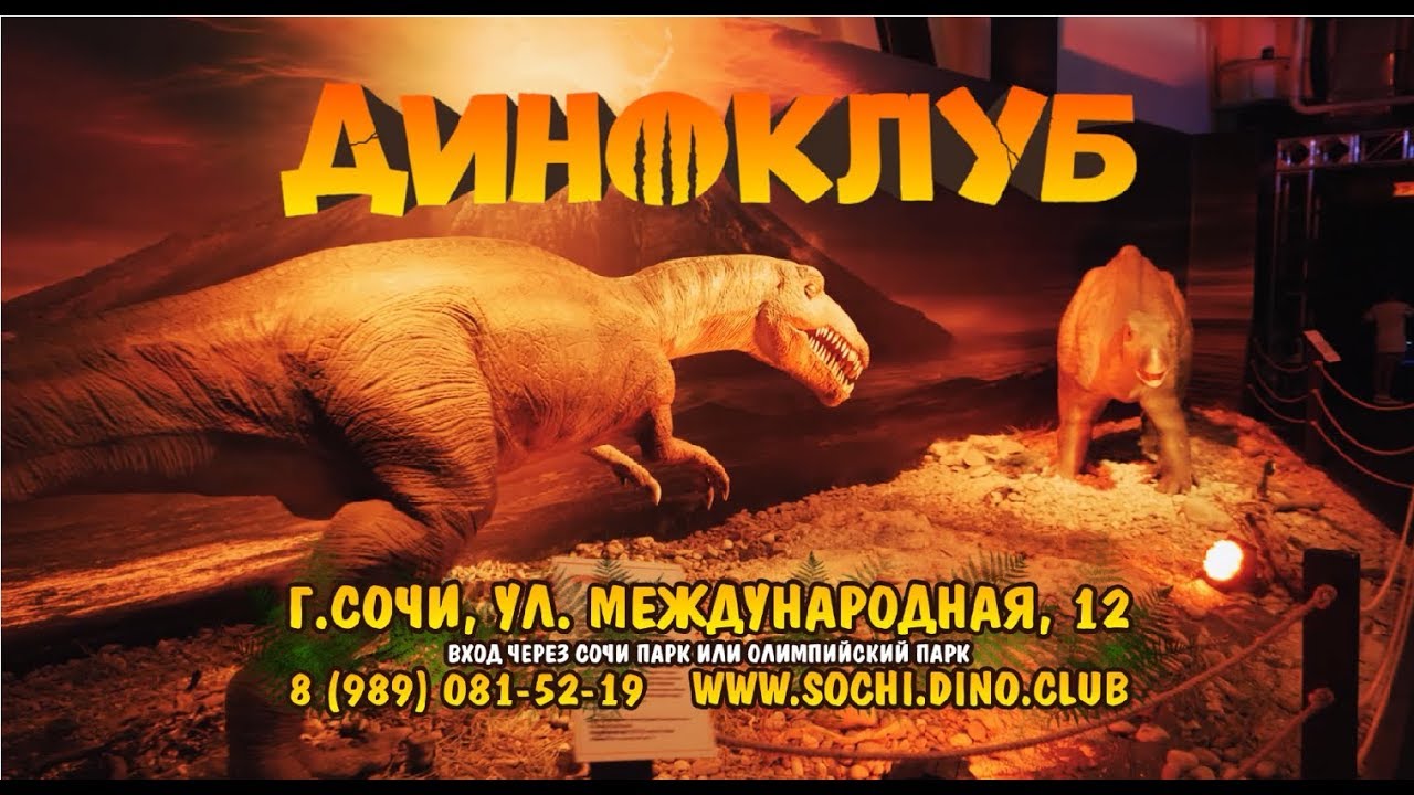 Познавательный и увлекательный парк Диноклуб в Сочи - короткий ролик для ТВ 🦕